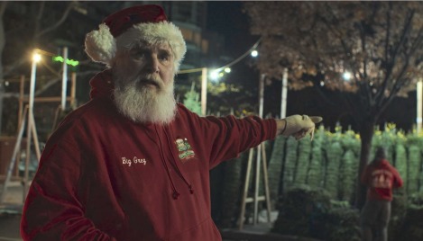 ‘They give up their holiday so others can celebrate’: Doc spotlights unsung Christmas tree vendors of NYC
