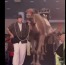 Woman suffers dangerous camel kick during megachurch’s Christmas Spectacular