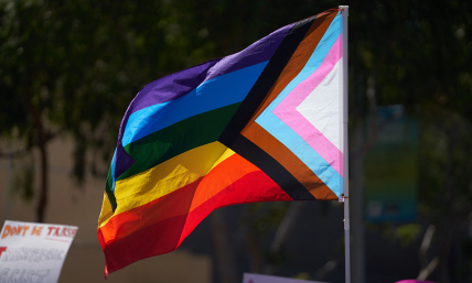 Trans-identified TV characters rose slightly in 2025, but most may not return next season: report