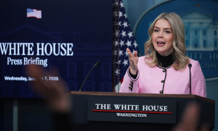 Karoline Leavitt pledges 'all-hands-on-deck' approach to cracking down on state fraud