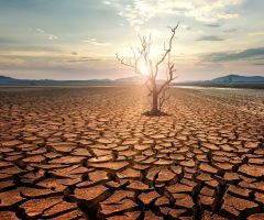 Environmental care is biblical. Prophets often tie damage to moral failure 