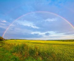 Miscalculating God's blessing can be a recipe for disaster