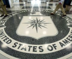 Biden CIA listed 'motherhood and homemaking' in report about violent extremism