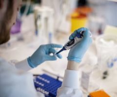 How many cures for cancer did the world lose in the Holocaust?