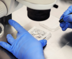 IVF kills more babies than Planned Parenthood