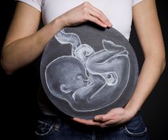 My parents adopted 20 embryos. I was the only one to survive.