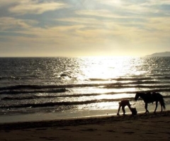 I will surely make you prosper