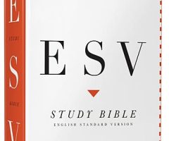Study Bible Wins 'Christian Book of the Year' Award