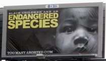 Billboards Claim Abortion Industry Targets Blacks