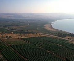 Bethsaida - Galilee & North