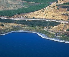Cove of the Sower - Galilee & North