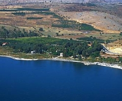 Tabgha - Galilee & North