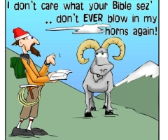 Sheep Horns