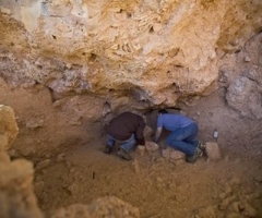 Archaeologists Claim to Have Found Oldest Human Remains in Israel
