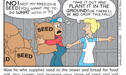 Seed Time