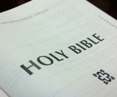 Scholar Defends New NIV Bible Amid 'Unfair' Criticisms