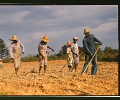 Post-Depression Rural America in Rare Color Photos