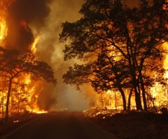 Texas Wildfires: Arson Suspected, 4 Teens Hunted for Starting Devastating Fires
