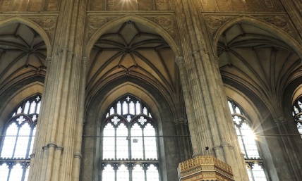 Homosexuality and Same-Sex Marriage: Hot Topics for Church of Ireland