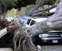 Windstorm: 200,000 Still Without Power, Cities Declare State of Emergency