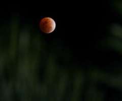Lunar Eclupse 2011: The Last Before 2014 (PHOTOS)