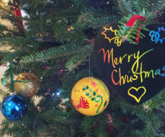 Atheist Group Wants Christmas Taken Back to Its 'Pagan' Roots (VIDEO)