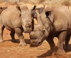 Christians Will Be Judged for Treatment of God's Creation, Critics Warn