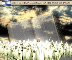 'Revelation' Study Guide Author: No One Has All the Answers