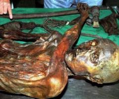 Iceman Mummy Blood Is Oldest Discovered (PHOTO)