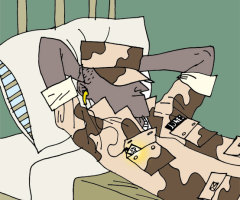 Gospel Listening for the Troops