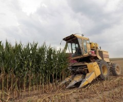 Atheists Take Issue With Vilsack's Prayer for Rain as Historic Drought Worsens