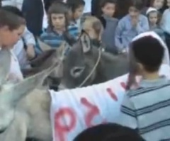 Jerusalem Gay Pride Parade Protested as 'Impurity and Abomination'