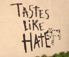 Chick-fil-A 'Tastes Like Hate' Vandal Arrested