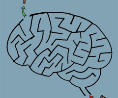 Seeking Sanctity Through the Maze of Mental Illness