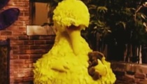 Big Bird Ad Backfires on Obama Campaign