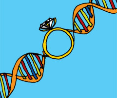 Marriage: It's In Our DNA