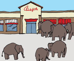 Chick-Fil-A: Elephants' Choice!