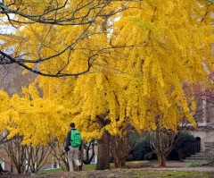 UNC Chapel Hill to Introduce Gender Neutral Housing