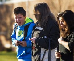 Sandy Hook School Shooting Sparks Call From Liberals for Gun Control Laws