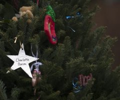Newtown Gets 26 Christmas Trees to Honor Shooting Victims