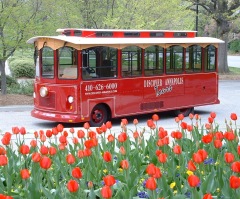 Md. Business Owner Ends Wedding Services Over Same-Sex Marriage