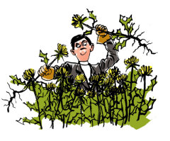 Clearing Out Weeds