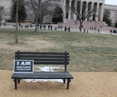 At March for Life Rally, Leaders See Growing Youth Presence