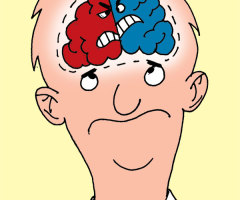 The Brain Chemistry of Politics