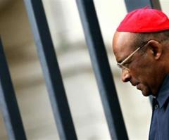 South African Cardinal Apologizes for 'Pedophiles Not Criminally Responsible' Remarks