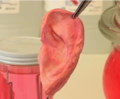 Lab Grown Parts Promise a More Seamless Solution for Mending Human Body