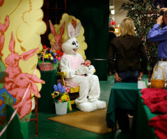 Where Did the Easter Bunny Come From?