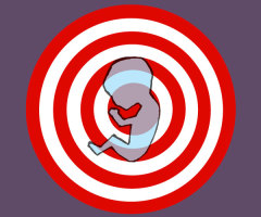 Lifting the Veil on the Clinics