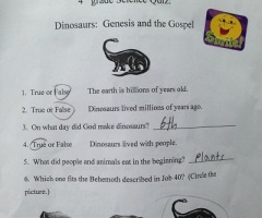 Christian School's Creationism Quiz Sparks Online Debate, Financial Donations