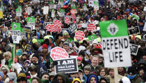 Will 2013 Be a Watershed Year for the Pro-Life Movement?